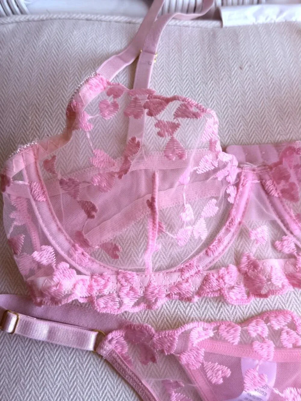 Bed of Roses Pink Heart Embroidered Mesh Lingerie Set Bra Thong Size S NWT